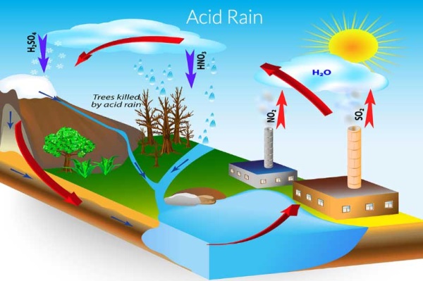 nguyên nhân hiện tượng mưa axit