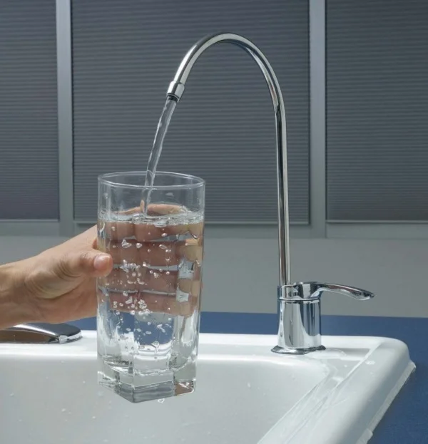 Hạt Aluwat có tác dụng làm sạch nguồn nước
